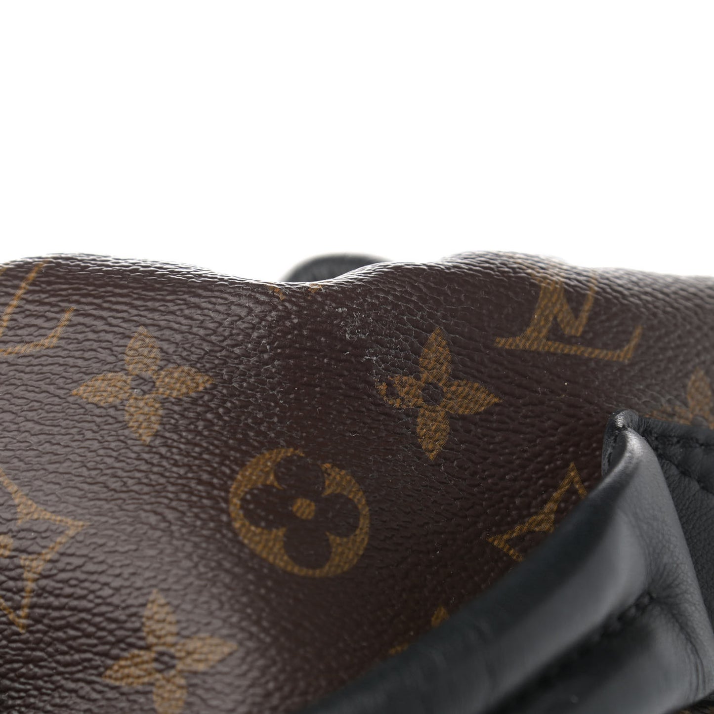 Monogram Palm Springs Backpack MM
