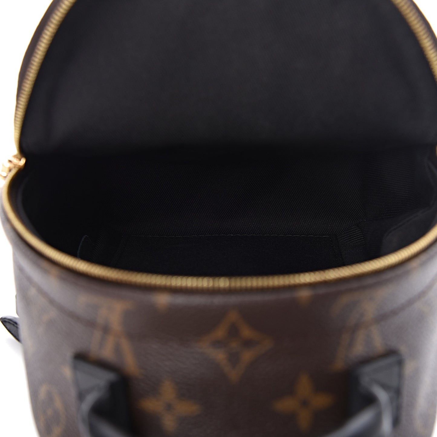 Monogram Palm Springs Backpack Mini