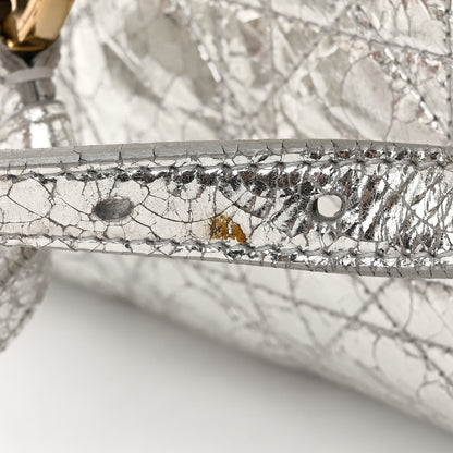 Christian Dior Metallic Calfskin Small Stardust Backpack Silver 10 of 17
