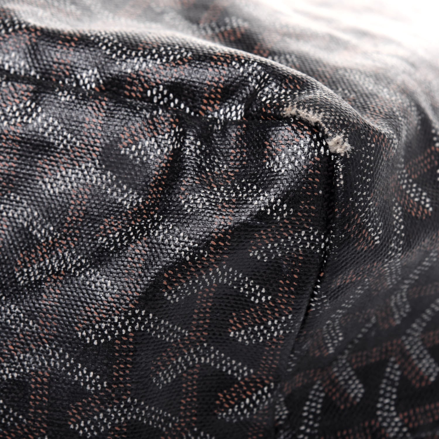 Goyard Goyardine Saint Louis GM Black 15 of 20
