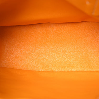 Goyard Goyardine Reversible Mini Anjou Yellow 9 of 21