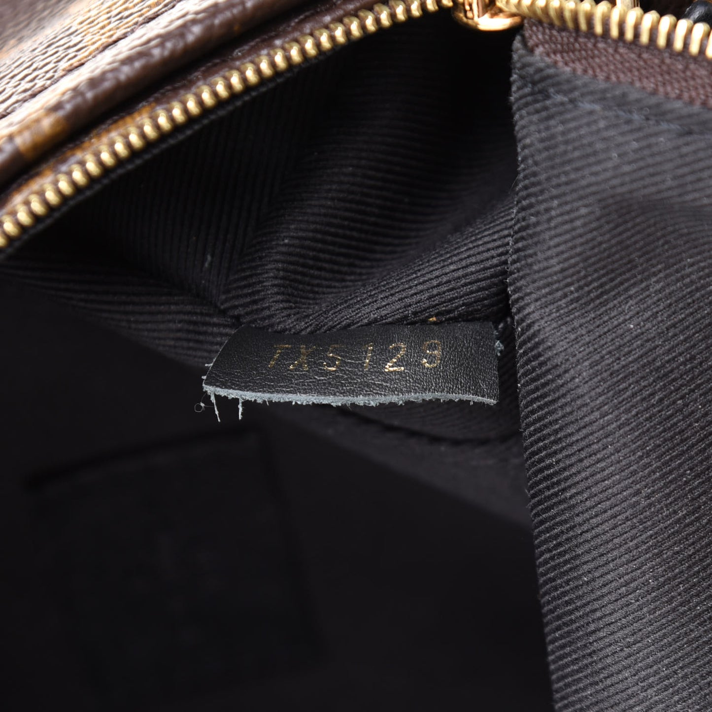 Monogram Palm Springs Backpack Mini