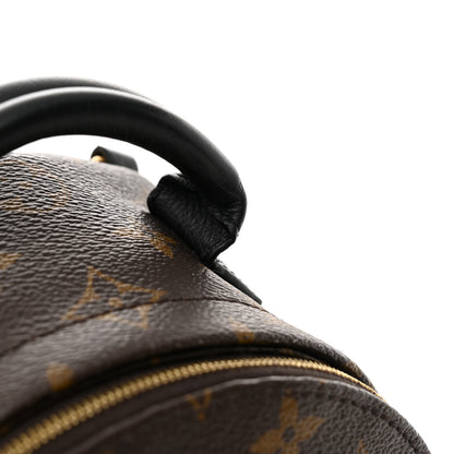 Louis Vuitton Monogram Palm Springs Backpack Mini 11 of 12