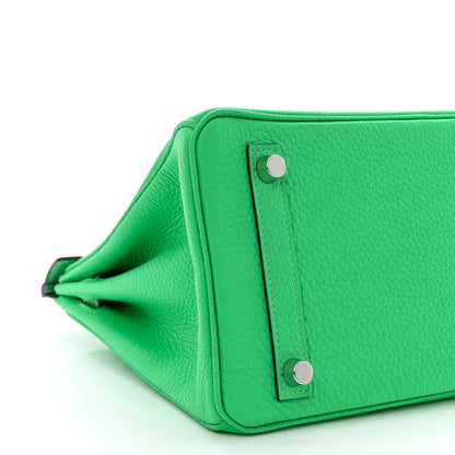 Hermes Togo Matte Alligator Birkin Touch 25 Vert Comics 9 of 11