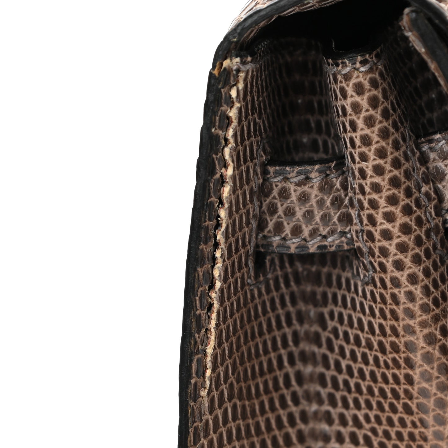 Lizard Niloticus Kelly Sellier 25 Gris Fonce