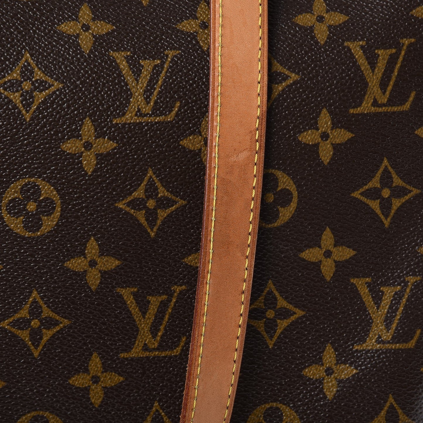Monogram Cabas Mezzo