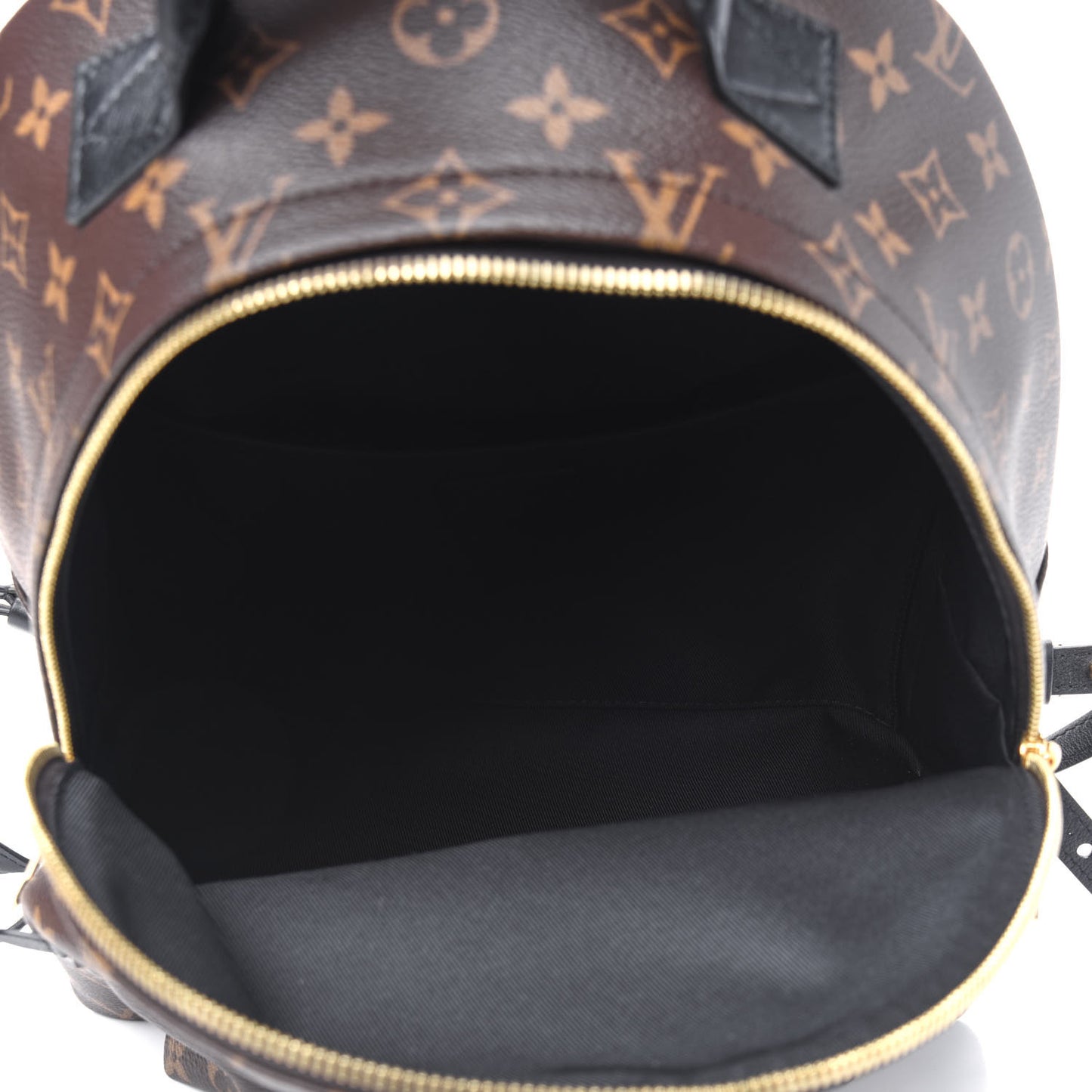 Monogram Palm Springs Backpack MM