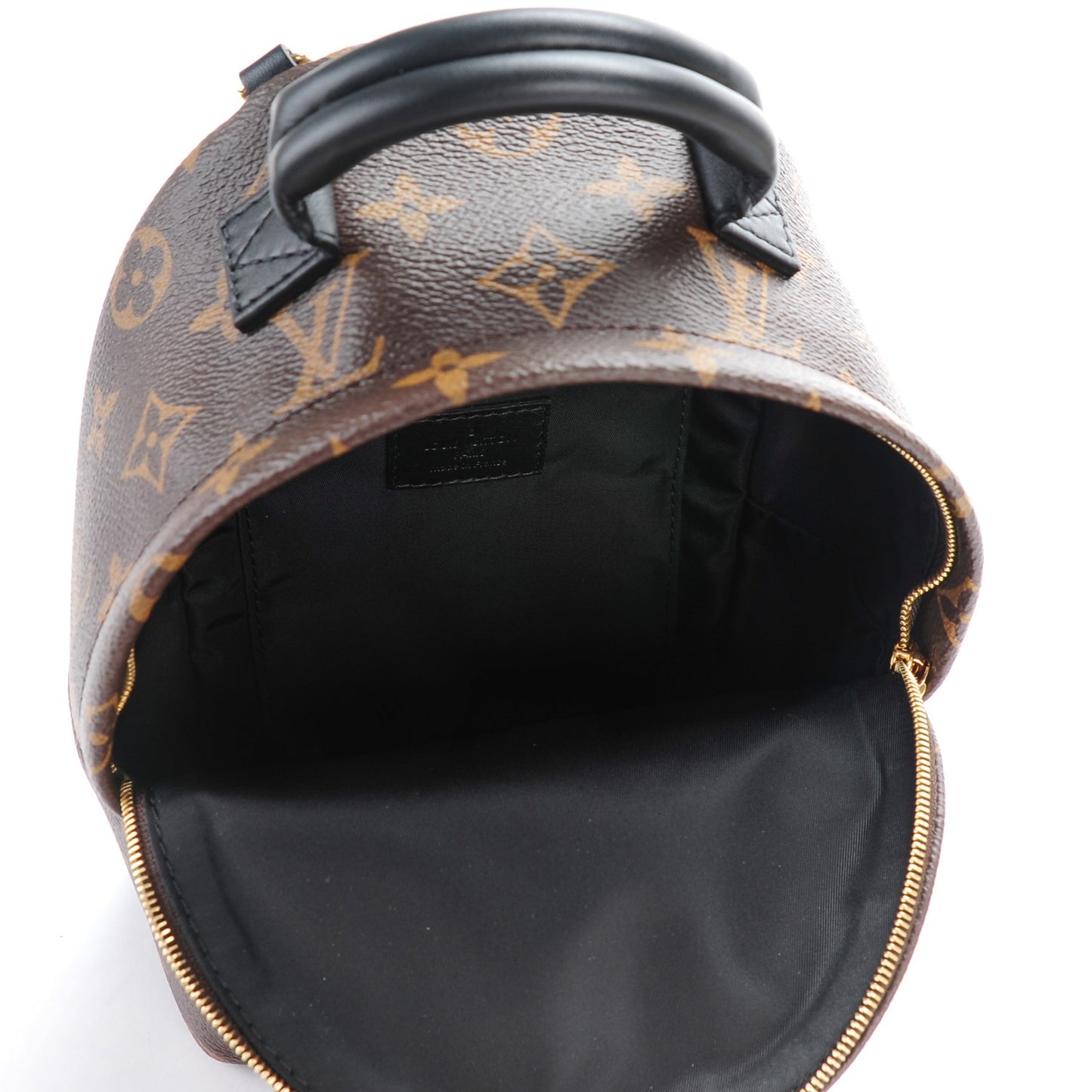 Monogram Palm Springs Backpack Mini