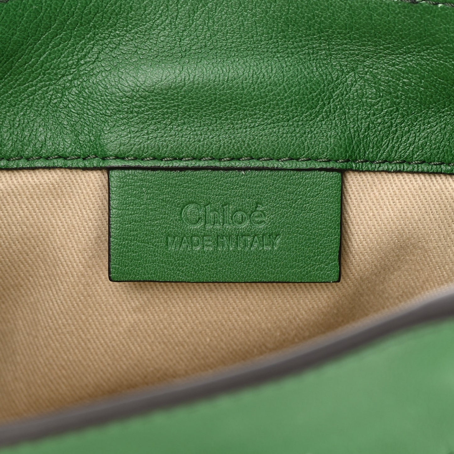 Suede Calfskin Mini Faye Backpack Pine Green