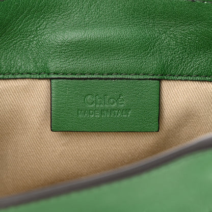 Chloe Suede Calfskin Mini Faye Backpack Pine Green 6 of 13