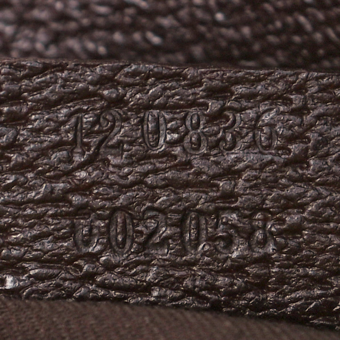Monogram Large Eclipse Tote Brown