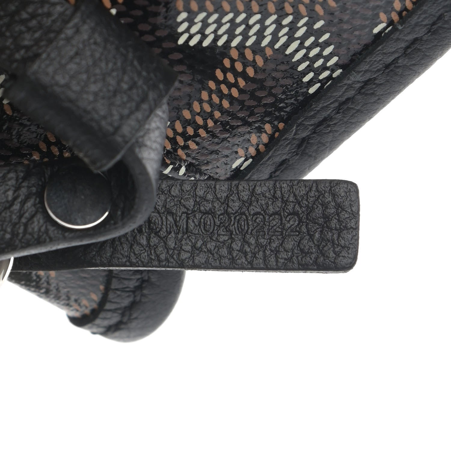 Goyard Goyardine Saint Louis PM Black 10 of 11