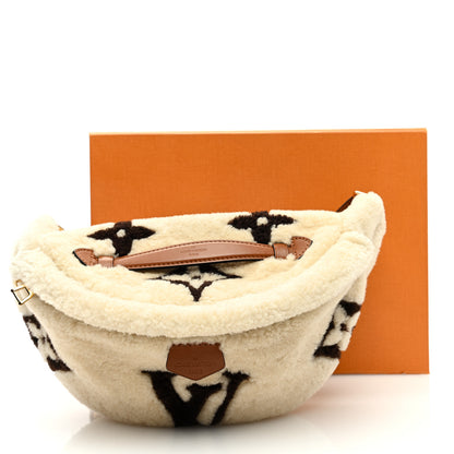 Louis Vuitton Monogram Teddy Bumbag 10 of 10