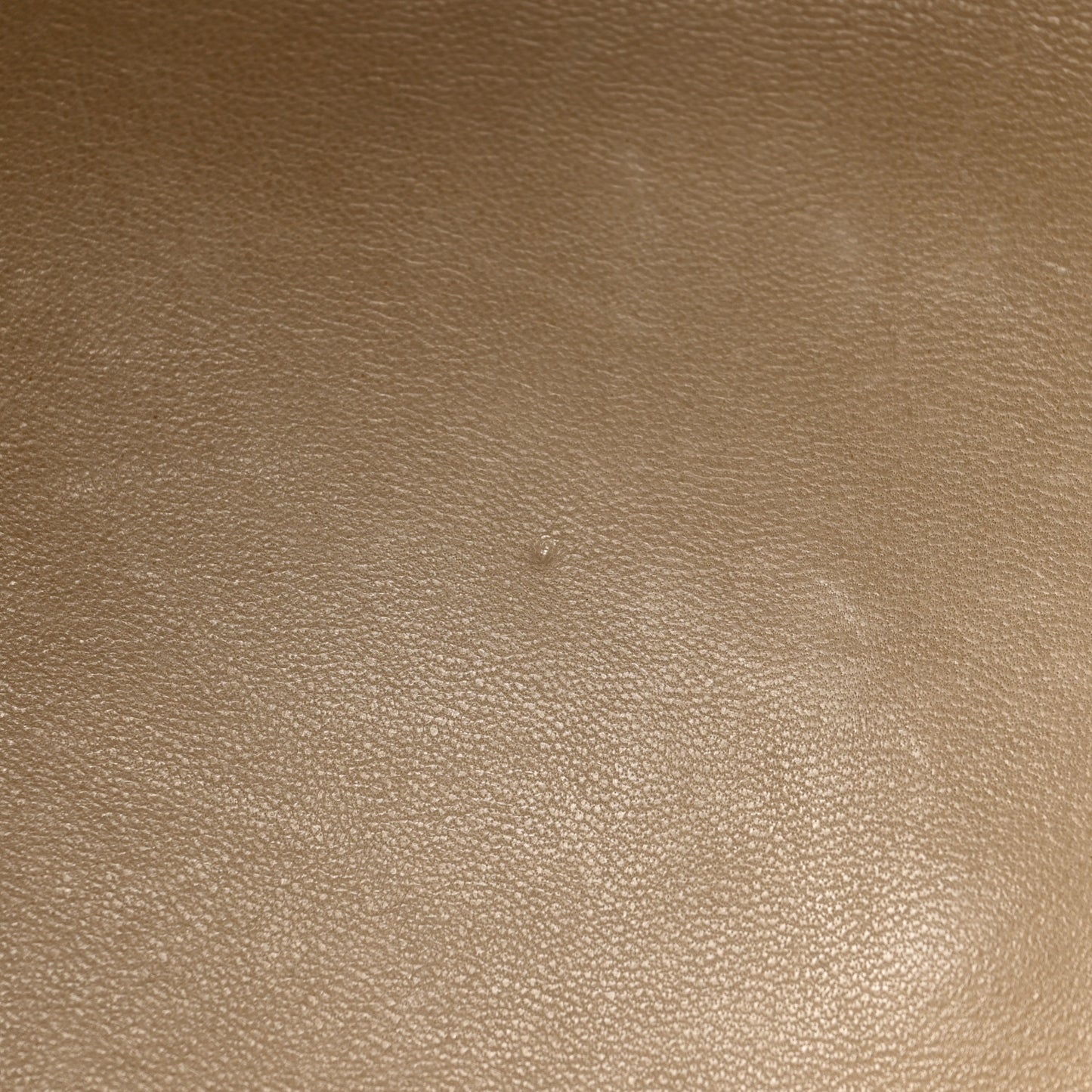 Crocodile Sac Louis Beige
