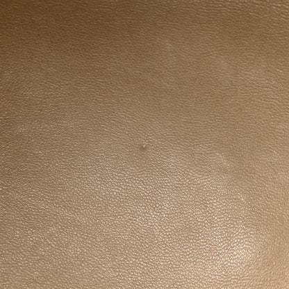 Louis Vuitton Crocodile Sac Louis Beige 13 of 21