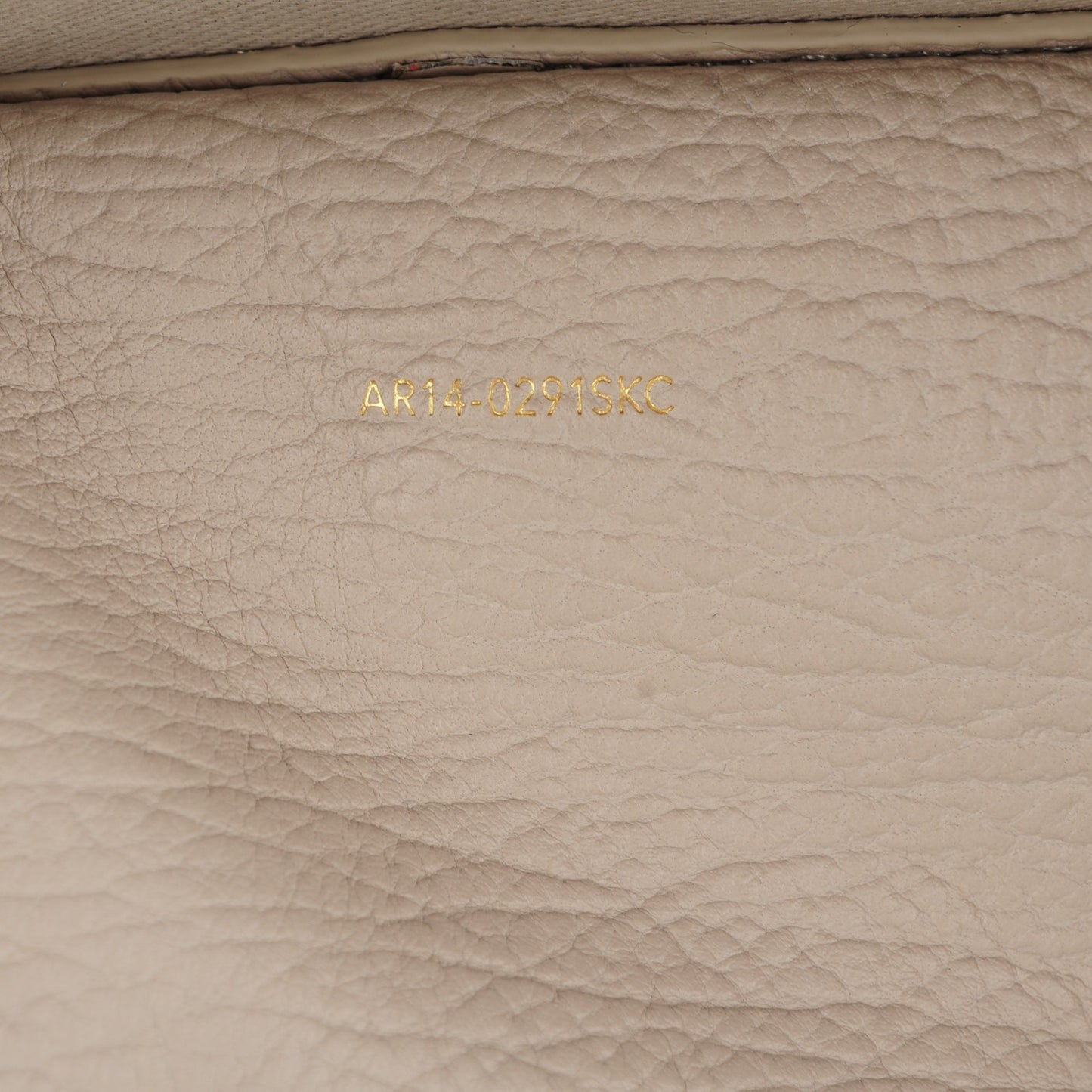 3.1 Textured Calfskin Pashli Backpack Feather