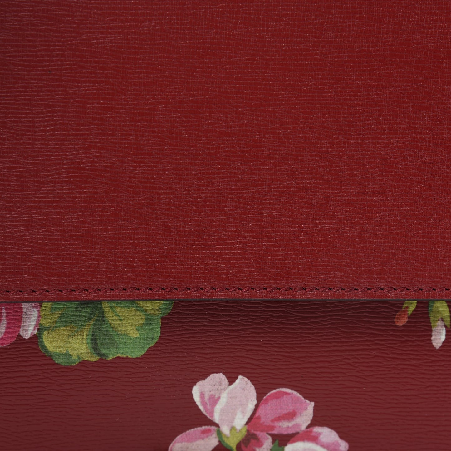 Calfskin Blooms Print Medium Dionysus Shoulder Bag Romantic Cherry Multicolor
