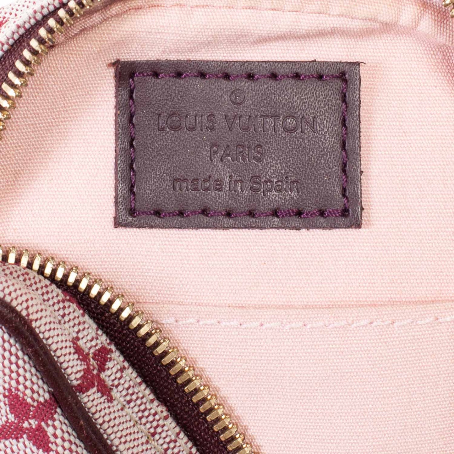 Mini Monogram Camera Bag Cherry