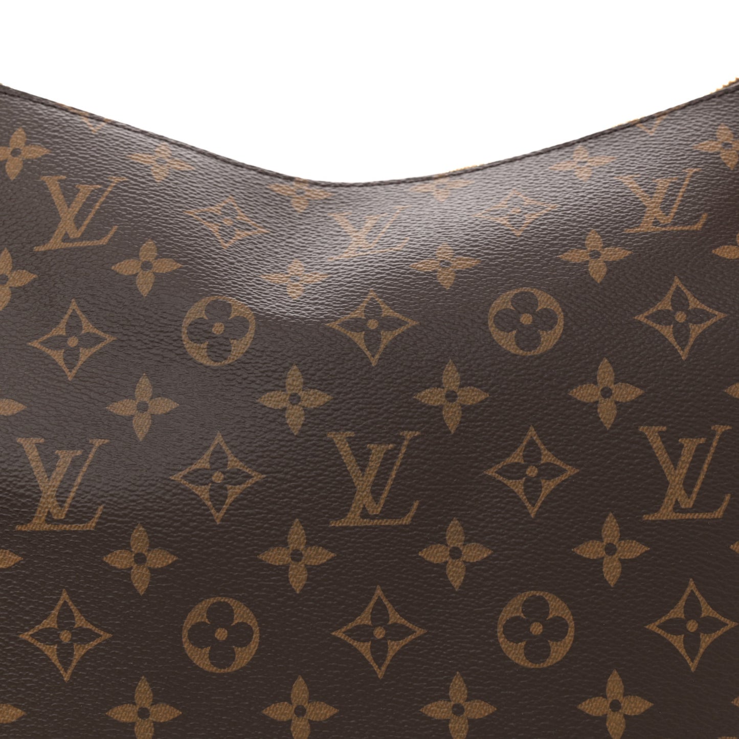 Monogram Slouchy MM