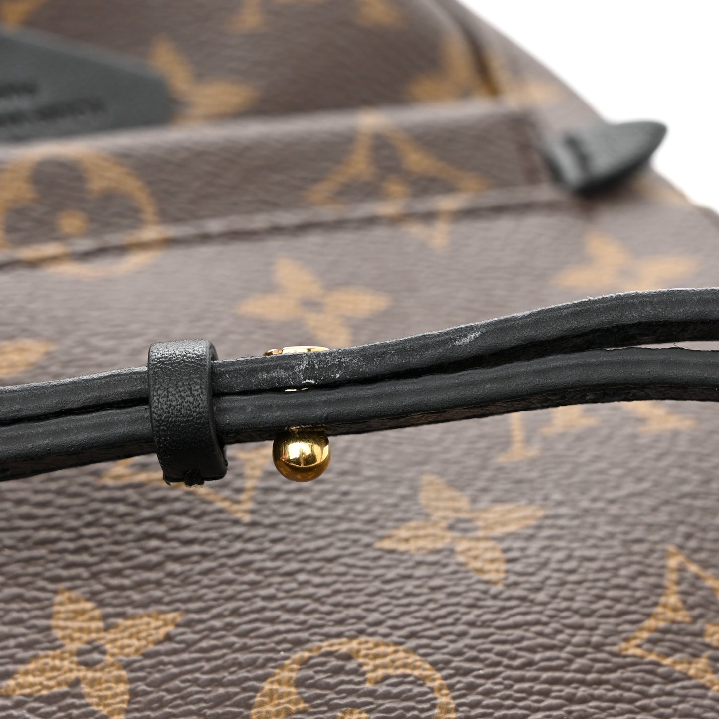 Monogram Palm Springs Backpack Mini