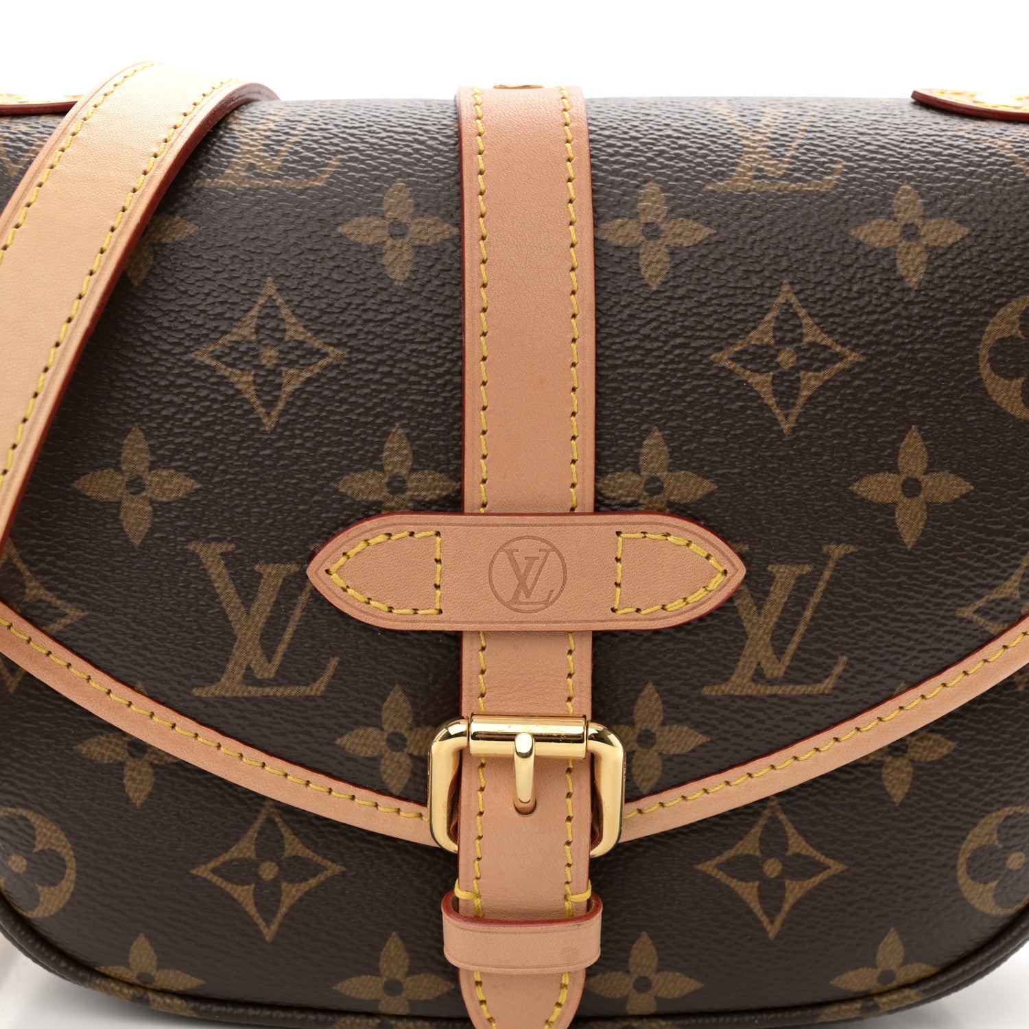 Louis Vuitton Monogram Saumur BB 7 of 9