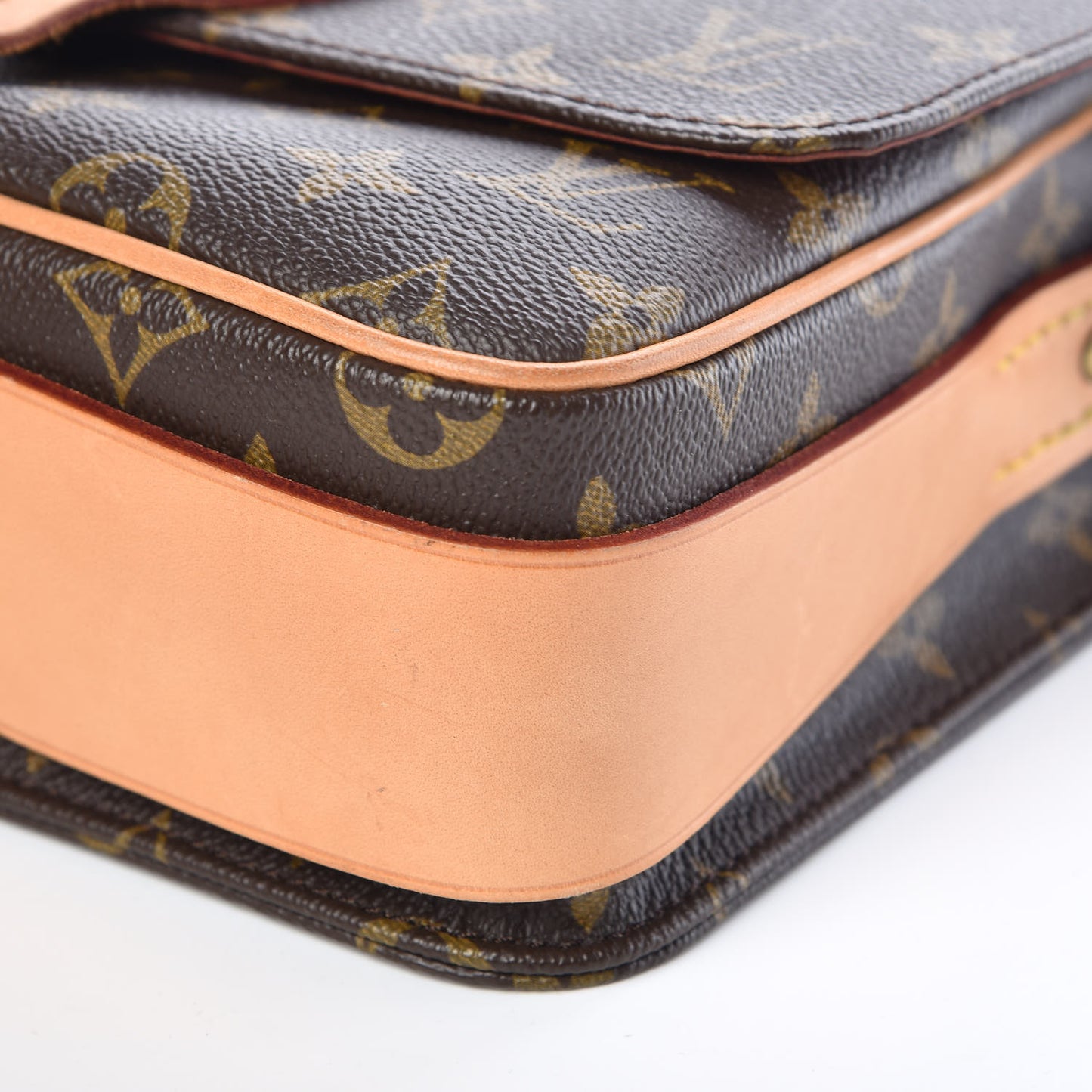 Monogram Cartouchiere 22
