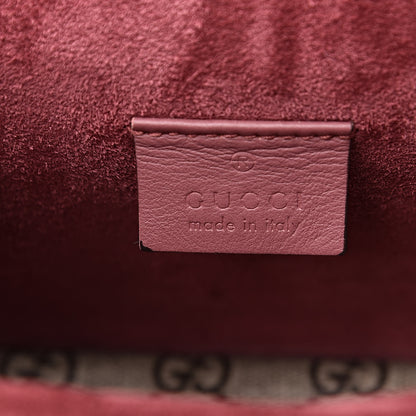 Gucci GG Supreme Monogram Blooms Mini Dionysus Shoulder Bag Beige Multicolor Dry Rose 6 of 13