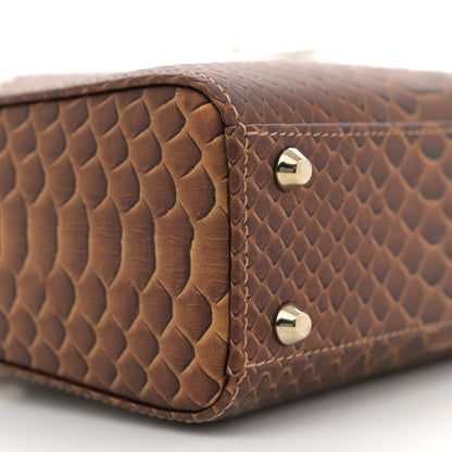 Christian Dior Metallic Snakeskin Mini Lady Dior Brown 9 of 10