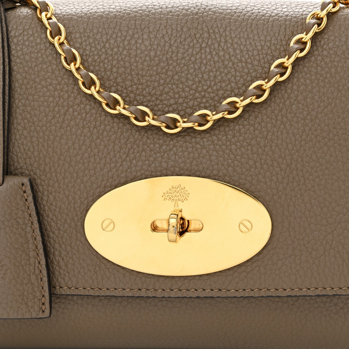 Classic Calfskin Small Lily Flap Clay