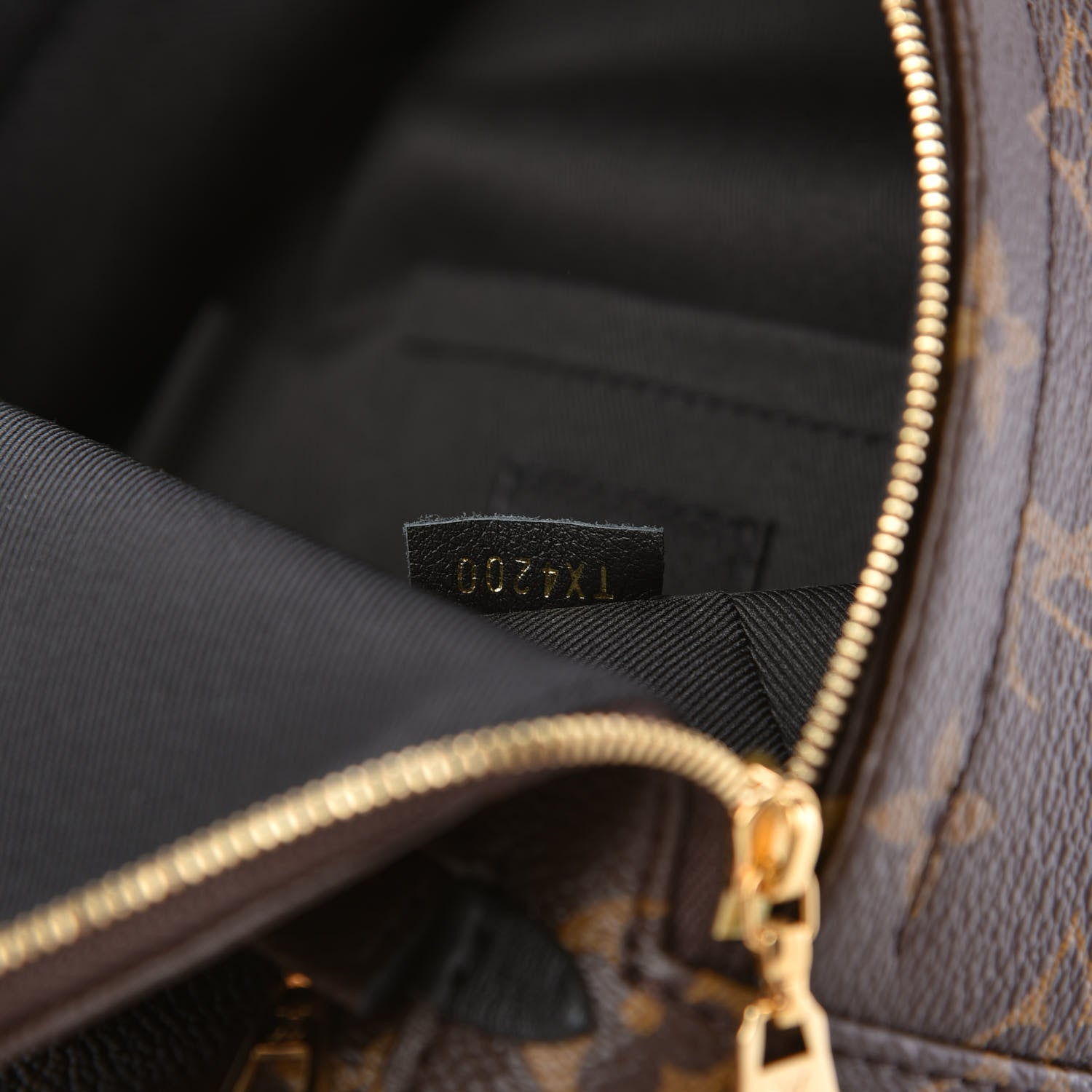 Louis Vuitton Monogram Palm Springs Backpack Mini 9 of 11