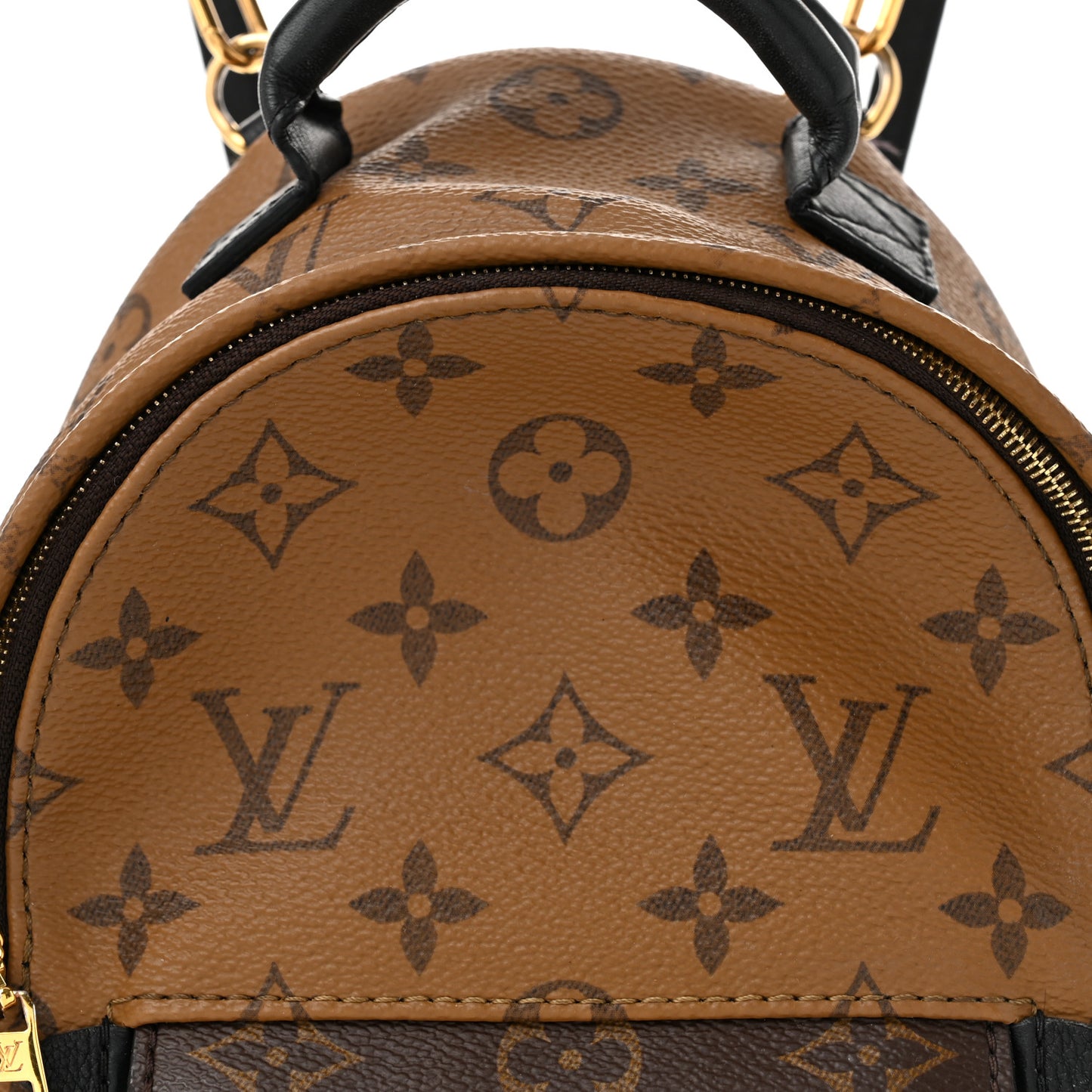 Reverse Monogram Palm Springs Backpack Mini