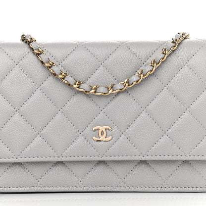 Chanel Caviar Quilted Wallet On Chain WOC Grey 9 of 14