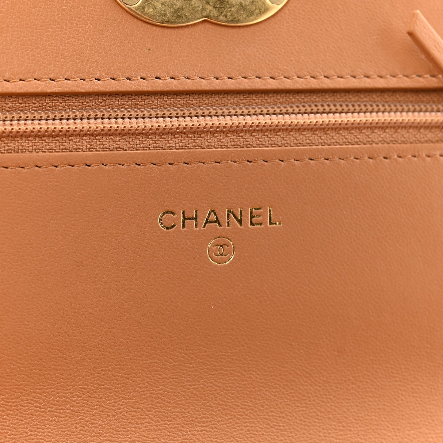 Lambskin Quilted Chanel 19 Wallet On Chain WOC Brown