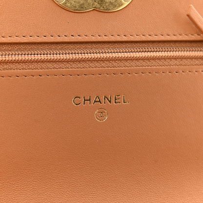 Chanel Lambskin Quilted Chanel 19 Wallet On Chain WOC Brown 6 of 13