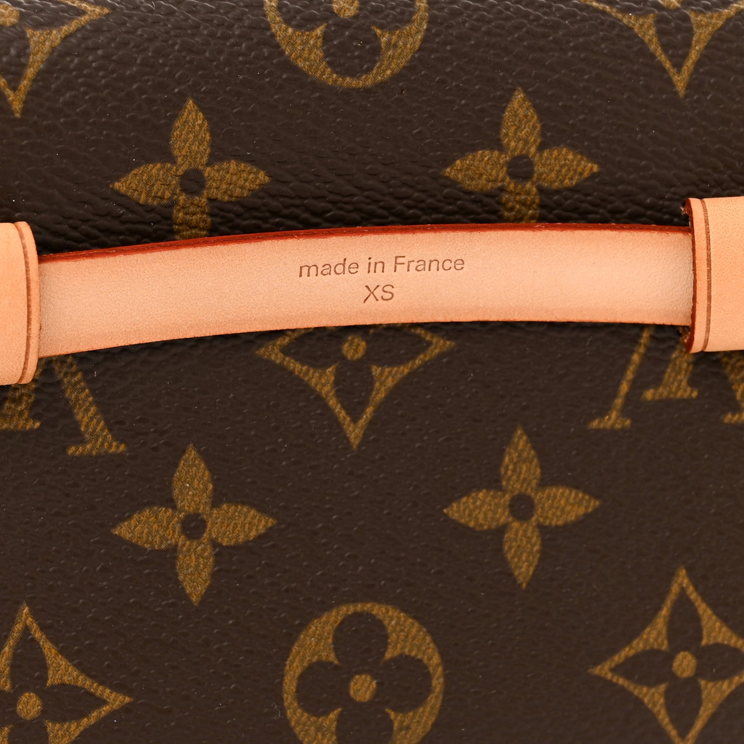 Monogram Pochette Florentine XS