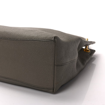 Prada Vitello Phenix Logo Hobo Taupe 9 of 13