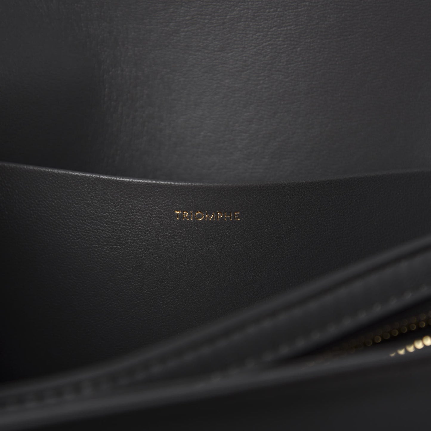 Shiny Calfskin Medium Triomphe Grey