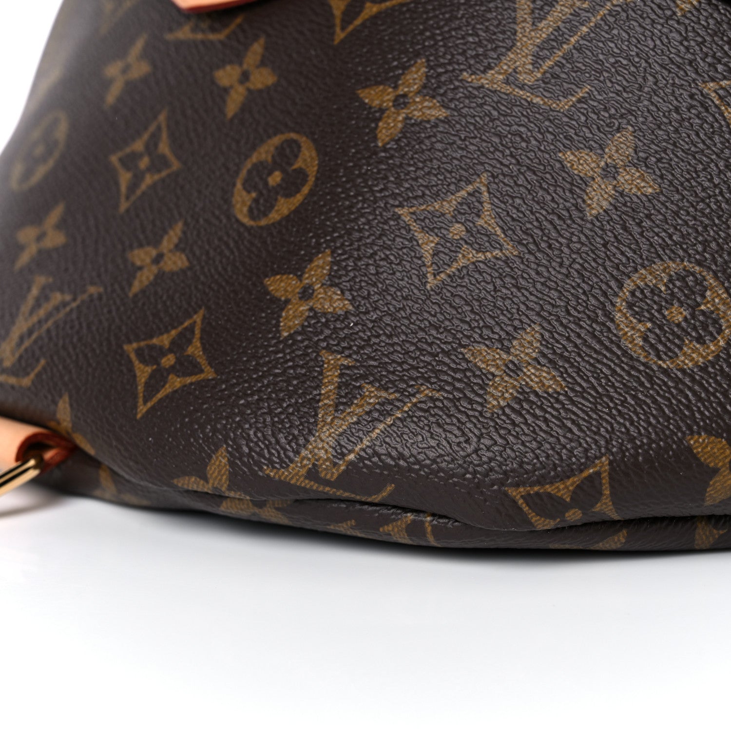 Louis Vuitton Monogram Bumbag 9 of 15