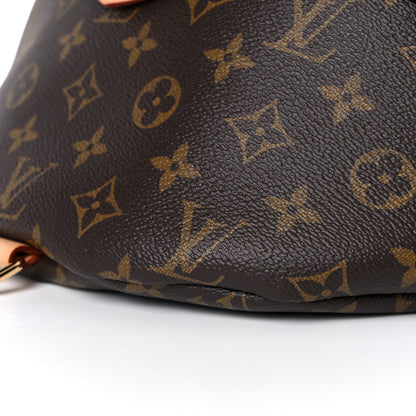 Louis Vuitton Monogram Bumbag 9 of 15