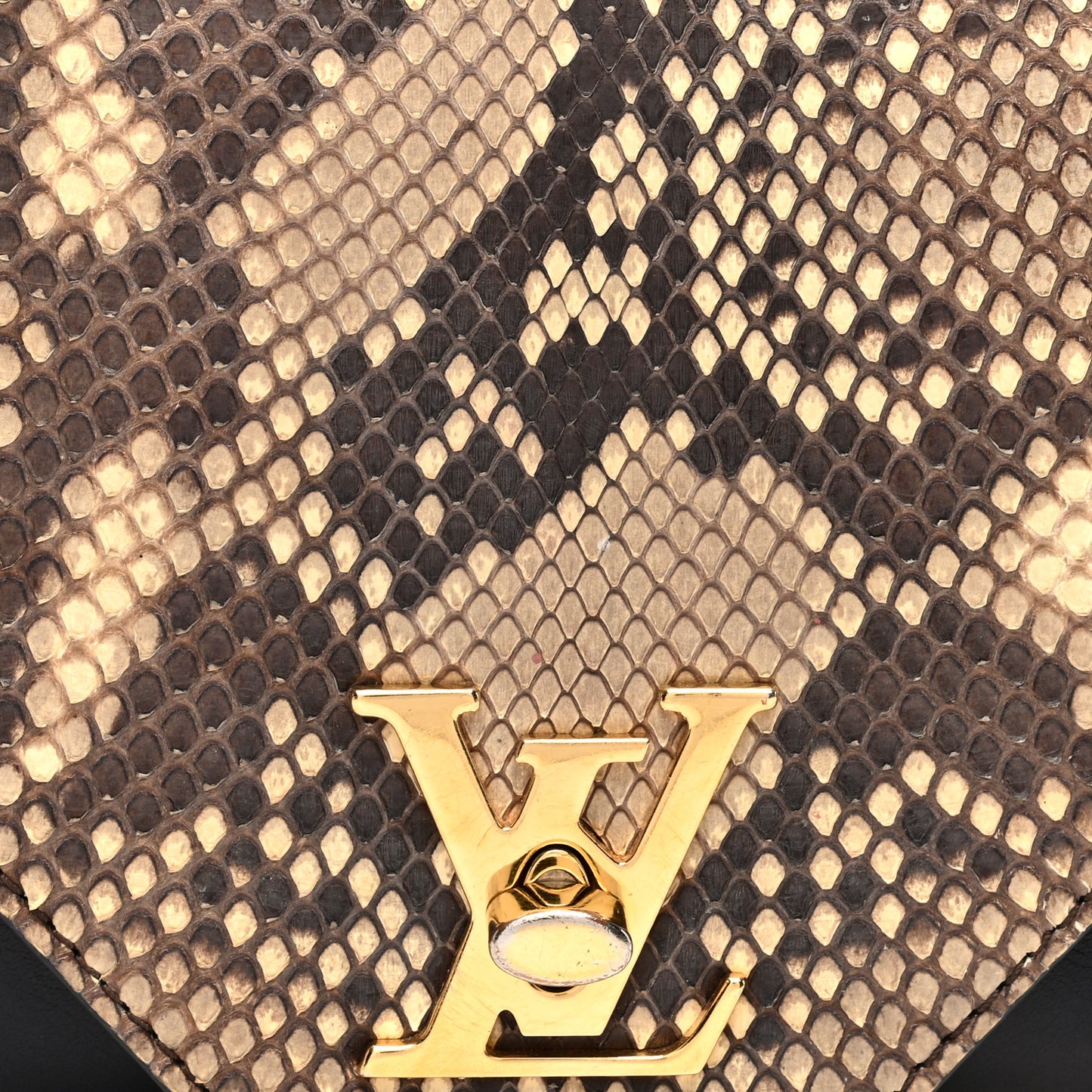 Snakeskin Calfskin Love Note Black