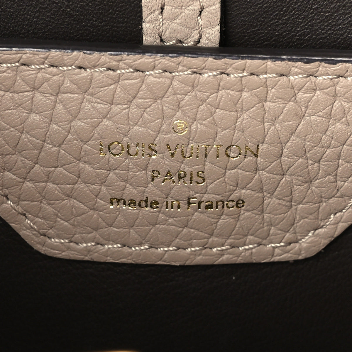 Louis Vuitton Taurillon Capucines PM Galet 6 of 9