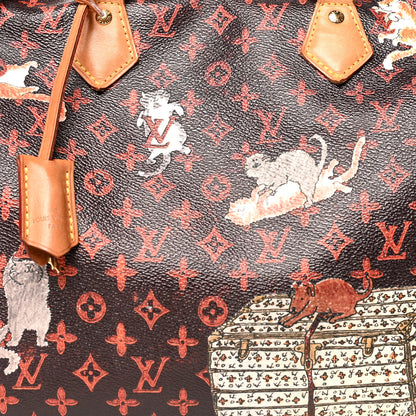 Louis Vuitton Catogram Speedy Bandouliere 30 Marron 9 of 17