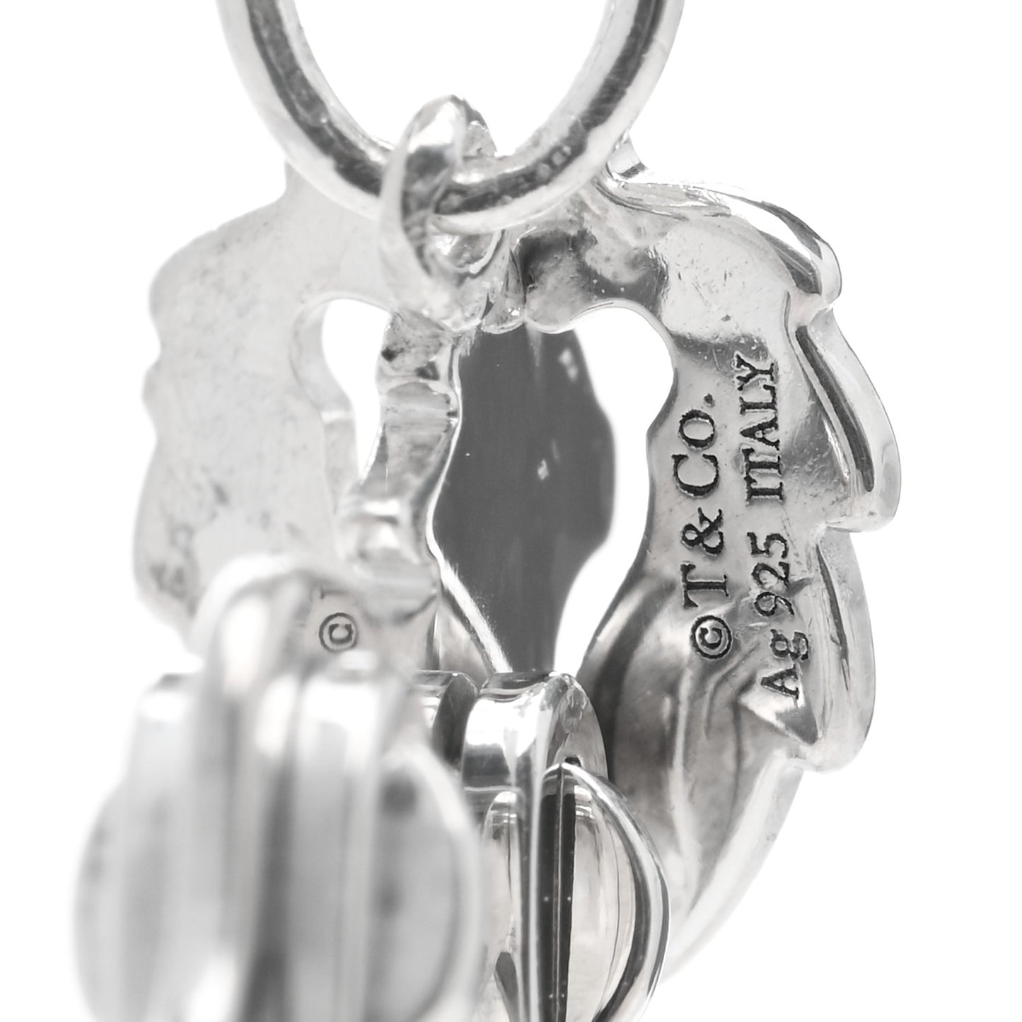 Sterling Silver Save the Wild Lion Charm