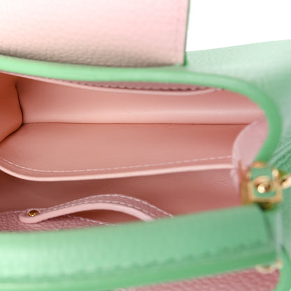 Louis Vuitton Taurillon Mini Capucines Vert Pomme 5 of 8