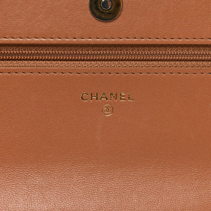 Chanel Lambskin Quilted Chanel 19 Wallet On Chain WOC Brown 7 of 14