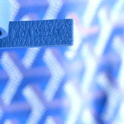 Goyard Goyardine Saint Louis PM Sky Blue 8 of 11