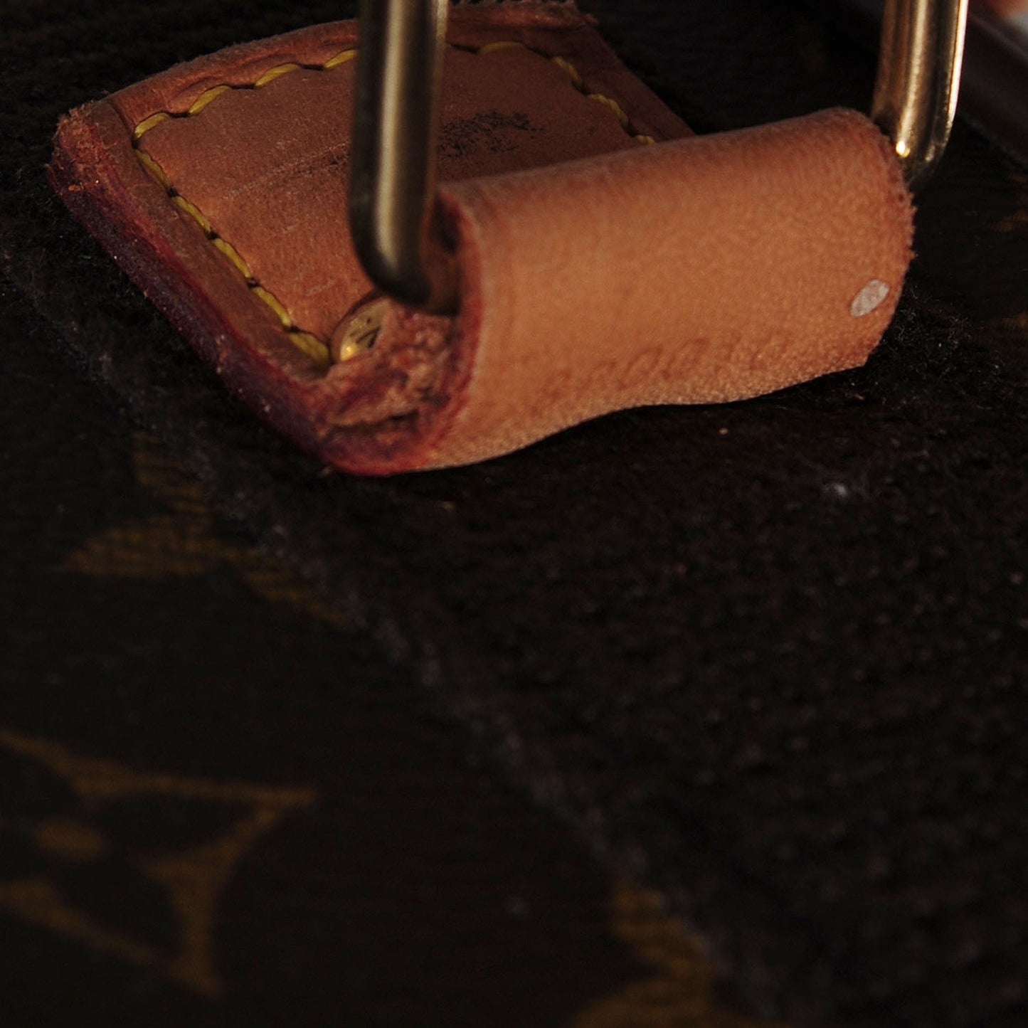 Monogram Canvas Pegase 55