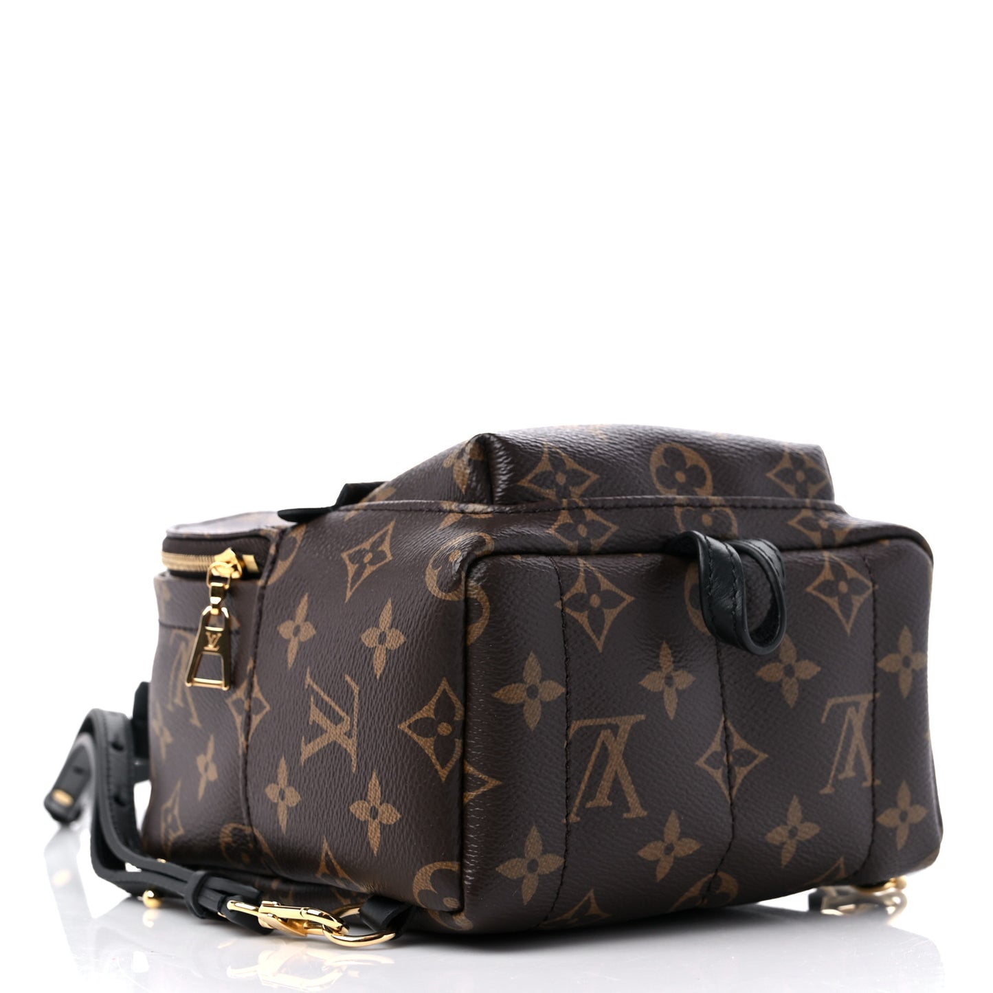 Monogram Palm Springs Backpack Mini