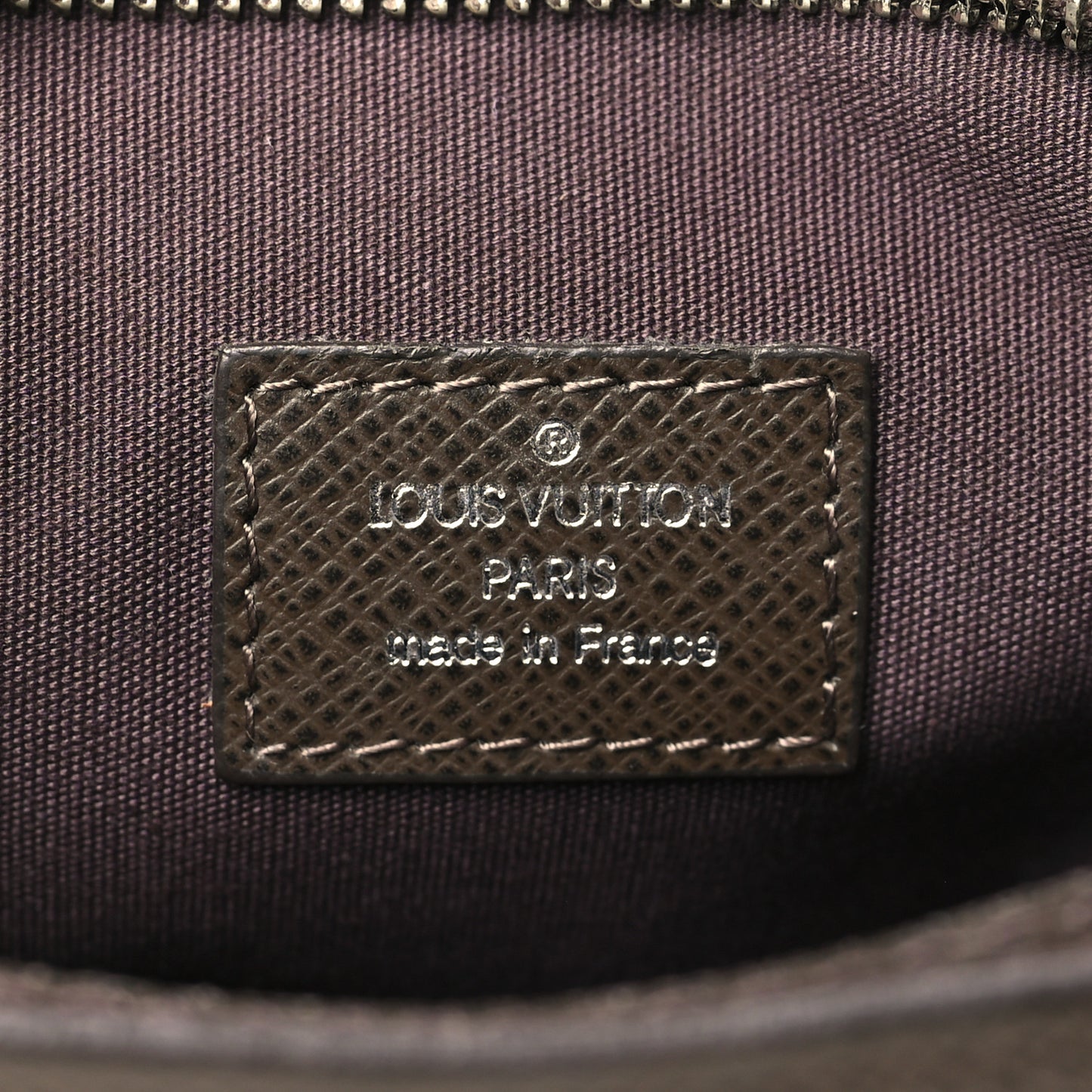 Taiga Dimitri Grizzli