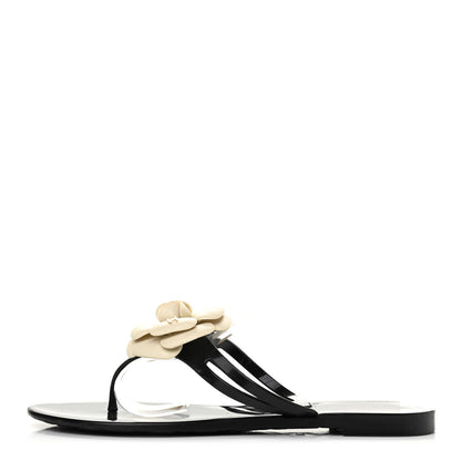 Chanel Jelly Camellia Thong Sandals 39 Black Ivory 1 of 10